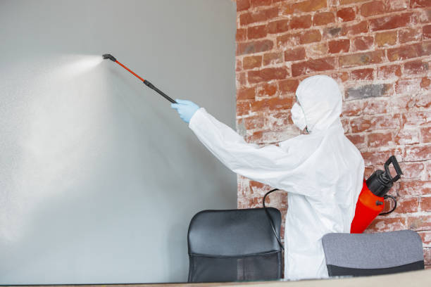 Best Mold Prevention Services  in Shell Valley, ND